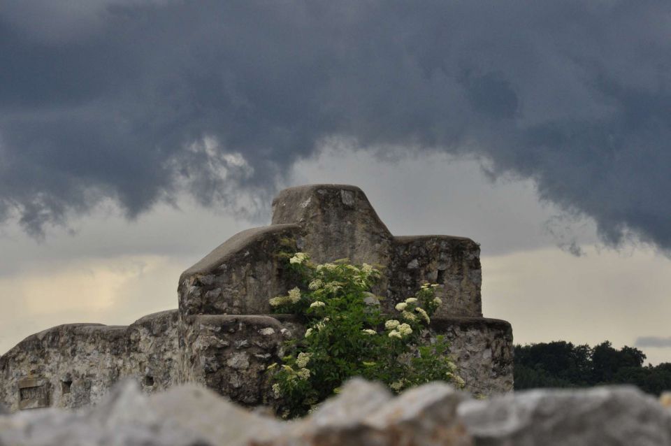 Celjska koča in grad 2.6.2013 - foto povečava