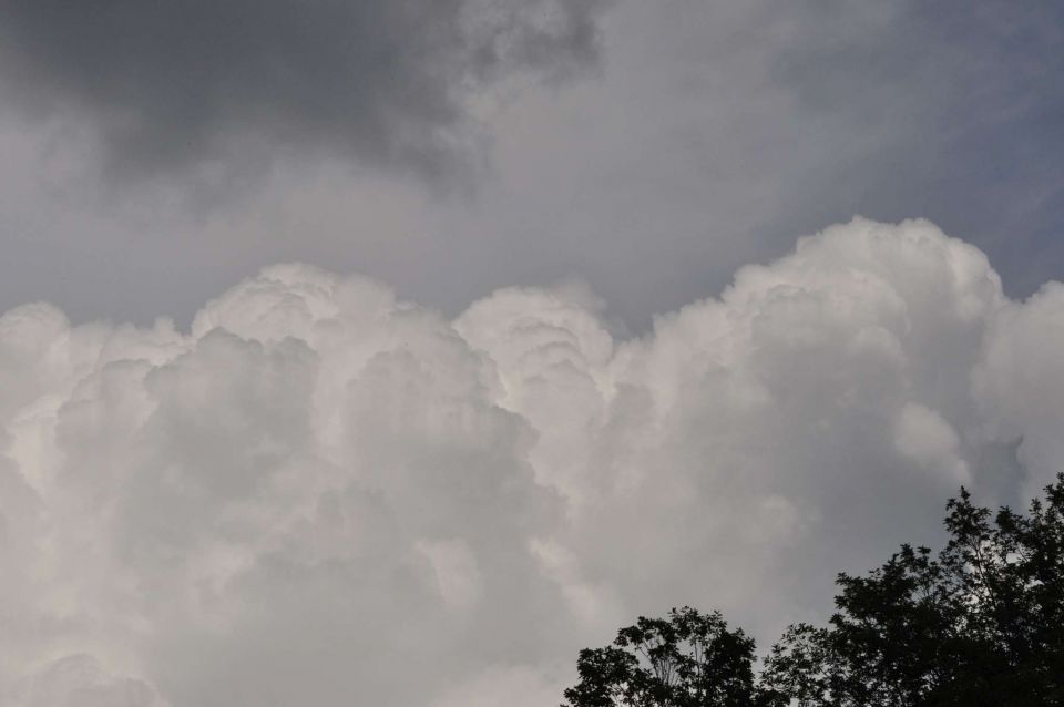 Šmohor 8.6.2013 - foto povečava