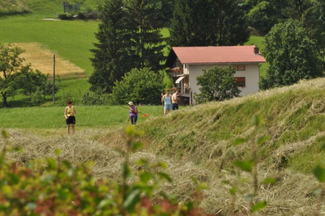 Pečica 9.6.2013 - foto