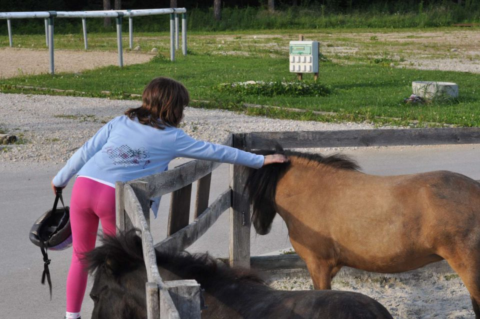 Pečica 9.6.2013 - foto povečava