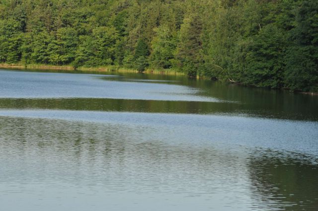 Šmartinsko jezero, Žalec 12.6.2013 - foto