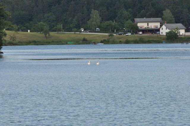 Šmartinsko jezero, Žalec 12.6.2013 - foto