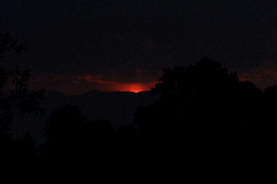 Firšt - Fidov gaj, Savinjska 16.6.2013 - foto povečava