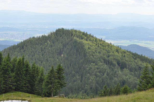 Savinjska, Kranjska reber 30.6.2013 - foto