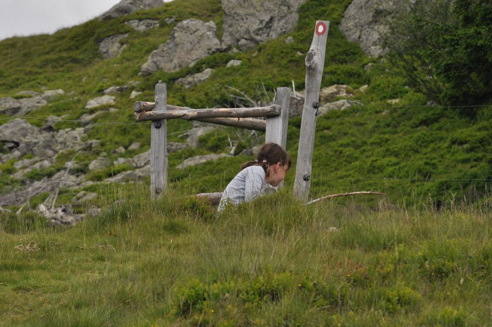 Savinjska, Kranjska reber 30.6.2013 - foto povečava