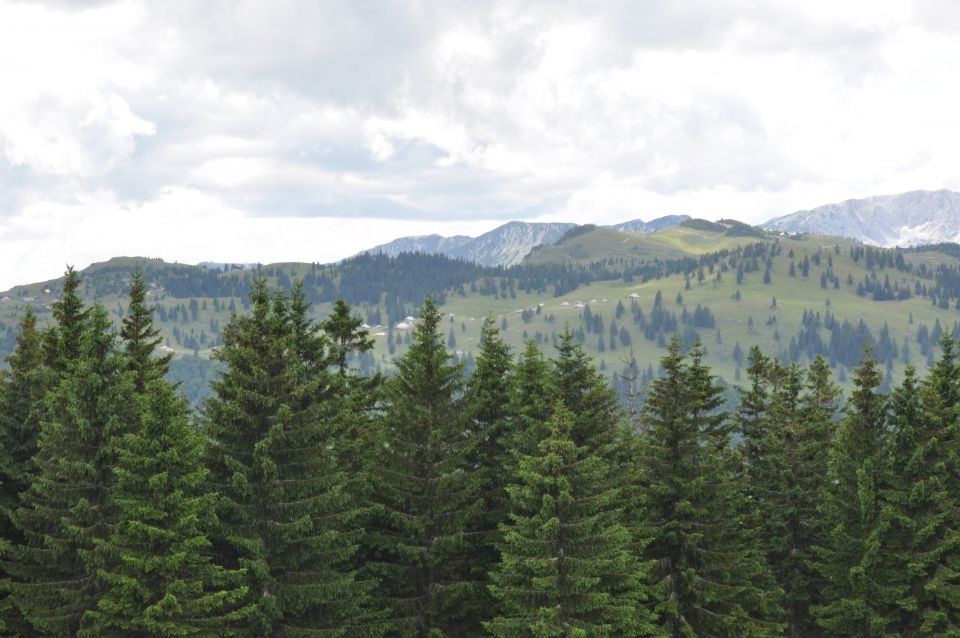 Savinjska, Kranjska reber 30.6.2013 - foto povečava