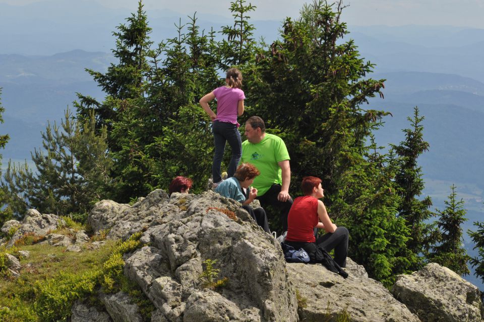 Savinjska, Kranjska reber 30.6.2013 - foto povečava