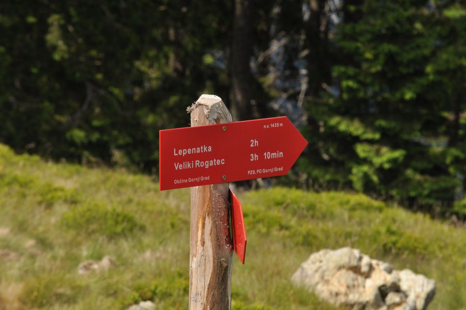 Savinjska, Kranjska reber 30.6.2013 - foto povečava