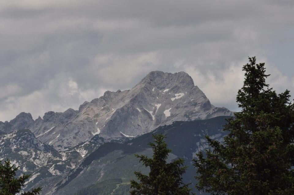 Savinjska, Kranjska reber 30.6.2013 - foto povečava