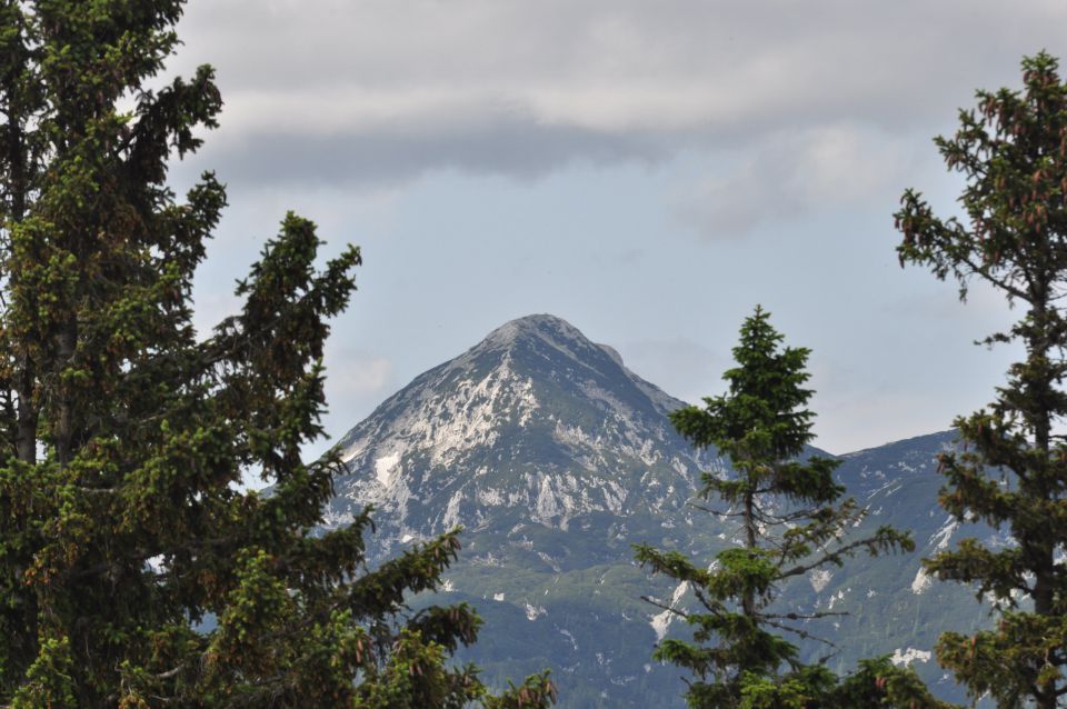 Savinjska, Kranjska reber 30.6.2013 - foto povečava