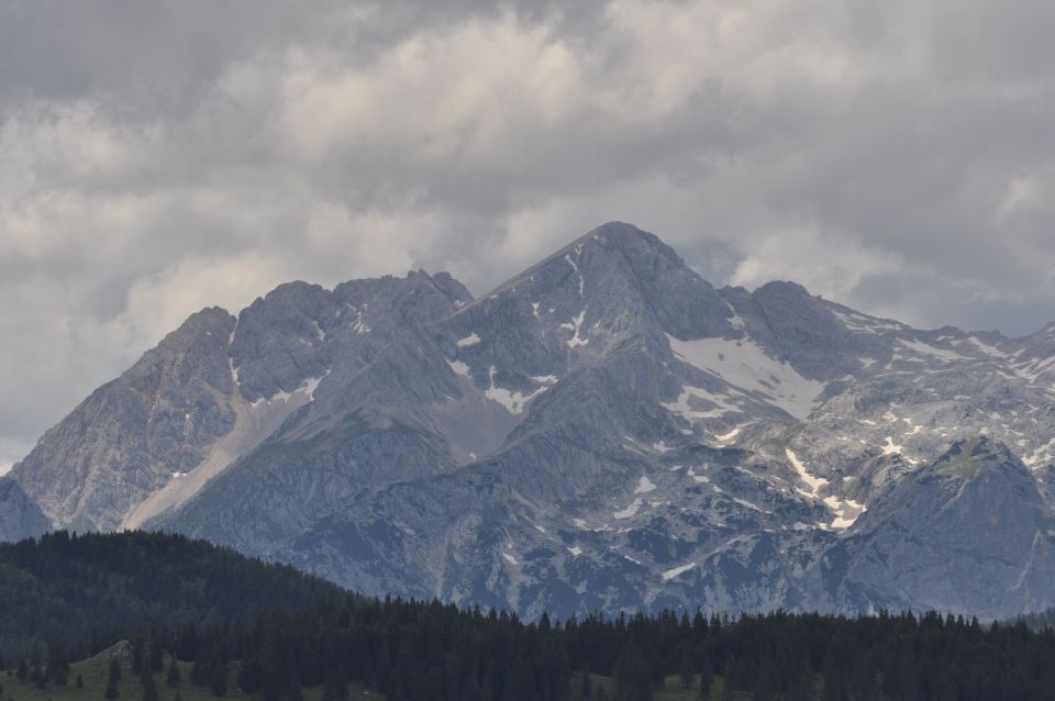 Savinjska, Kranjska reber 30.6.2013 - foto povečava