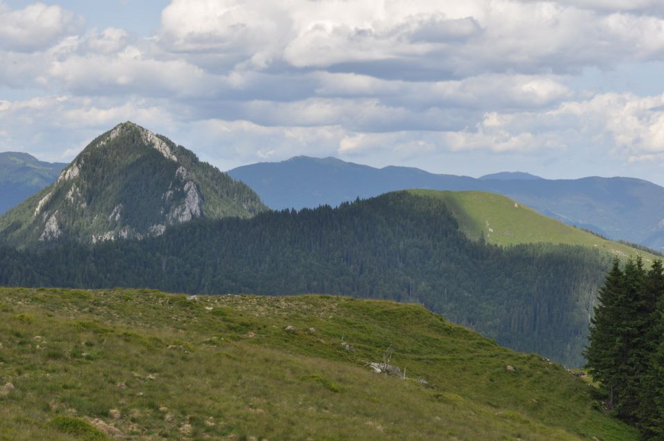 Savinjska, Kranjska reber 30.6.2013 - foto povečava