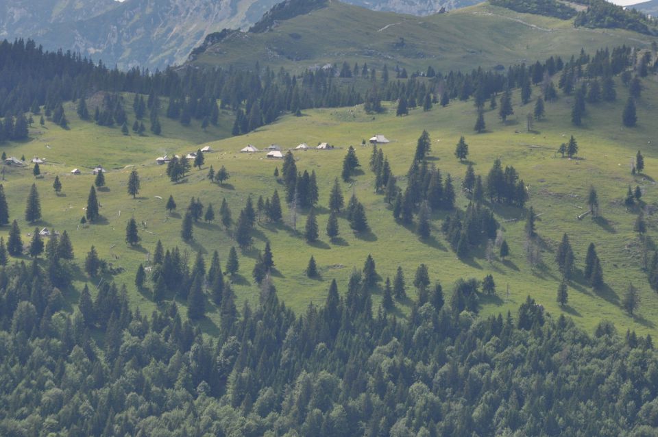 Savinjska, Kranjska reber 30.6.2013 - foto povečava