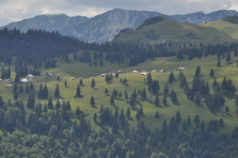 Savinjska, Kranjska reber 30.6.2013 - foto povečava