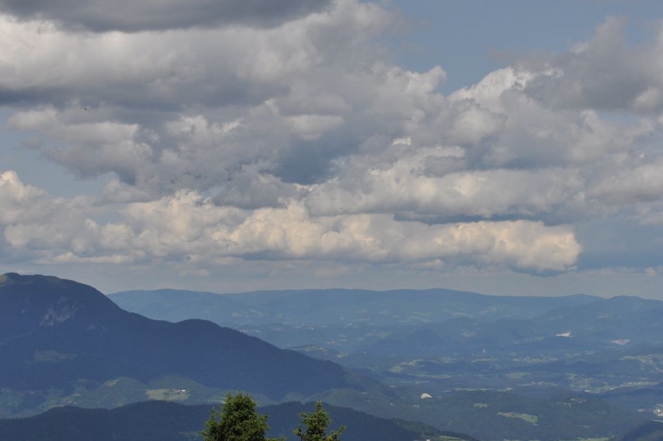 Savinjska, Kranjska reber 30.6.2013 - foto povečava