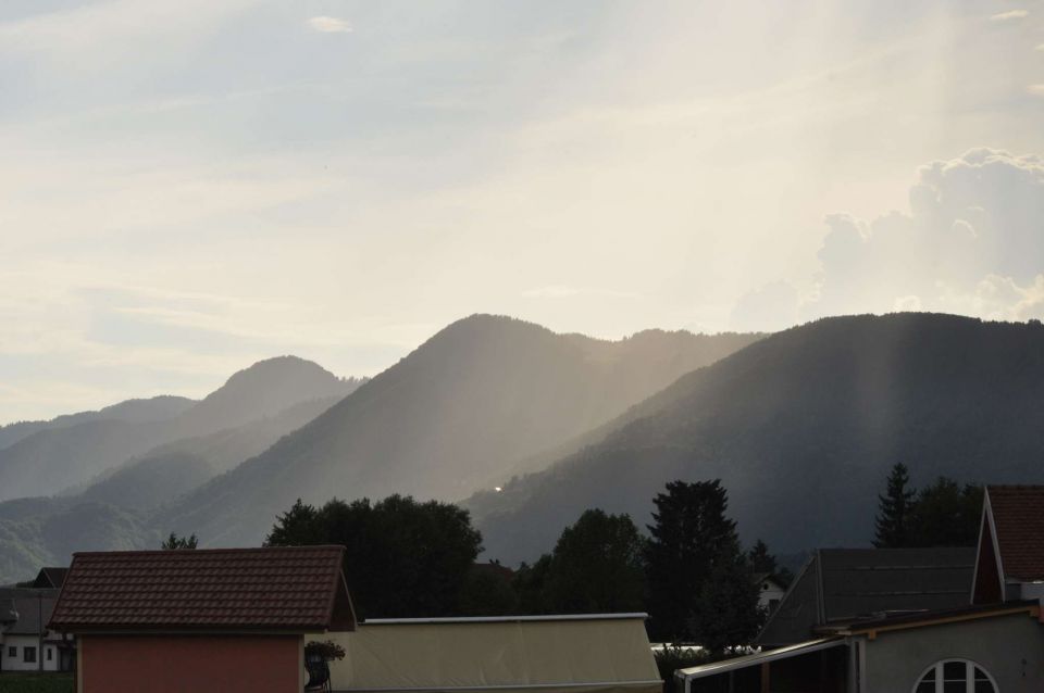 Celje 3.7-5.7.2013 - foto povečava