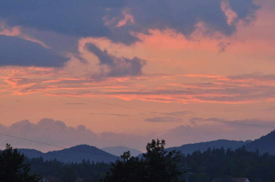 Celje 3.7-5.7.2013 - foto povečava