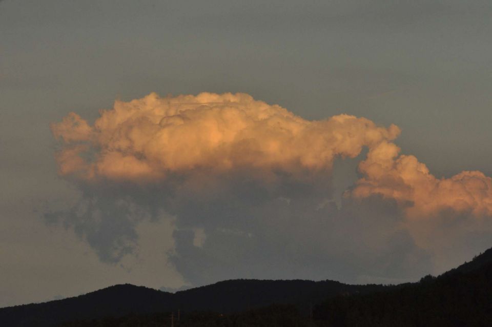 Celje 3.7-5.7.2013 - foto povečava