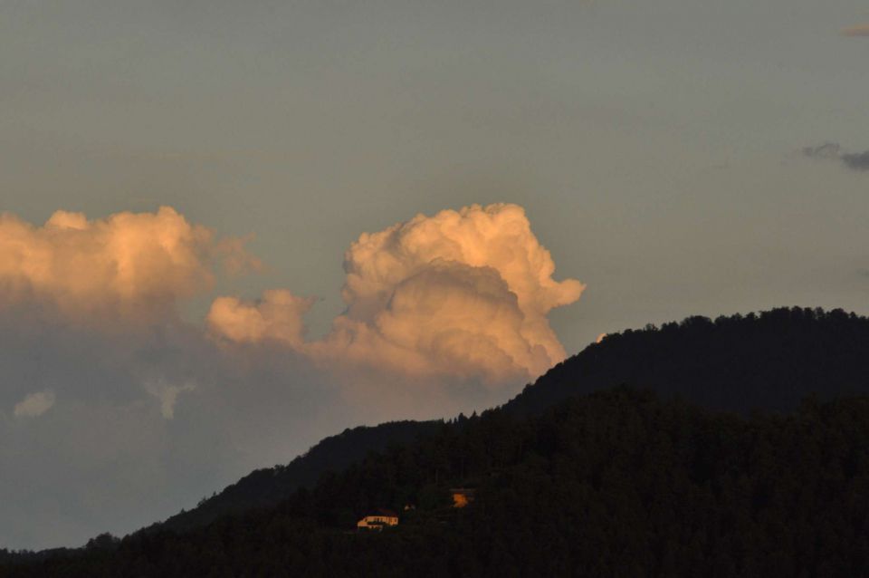 Celje 3.7-5.7.2013 - foto povečava