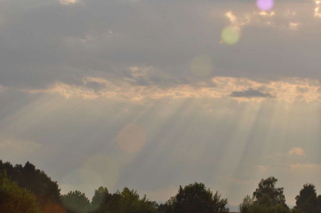 Celje 15.7.2013 - foto