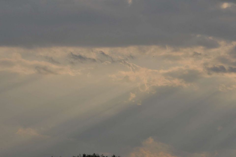 Celje 15.7.2013 - foto povečava