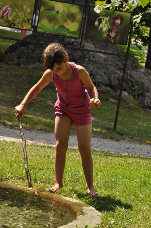 Dopust - Avsenik, Bohinj, ob Savi 20.7.2013 - foto povečava