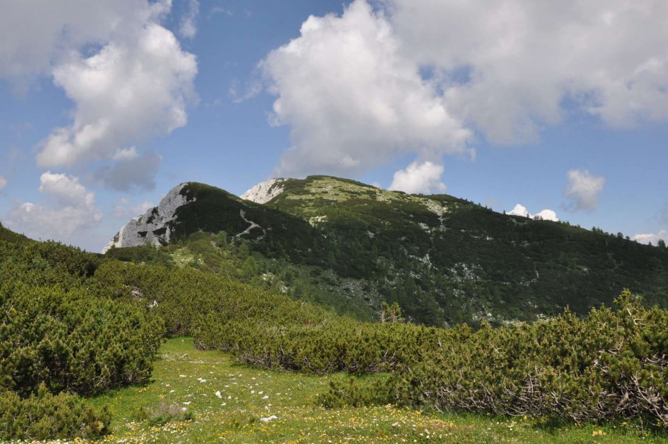 Blejska koča, proti Viševniku 21.7.2013 - foto povečava