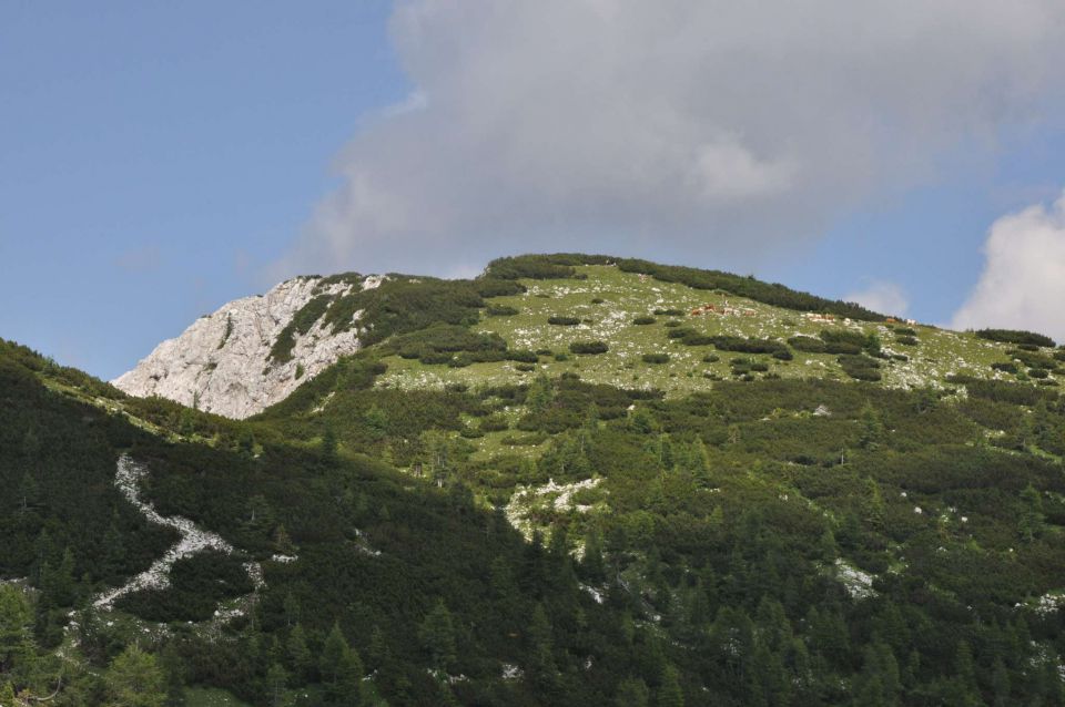 Blejska koča, proti Viševniku 21.7.2013 - foto povečava