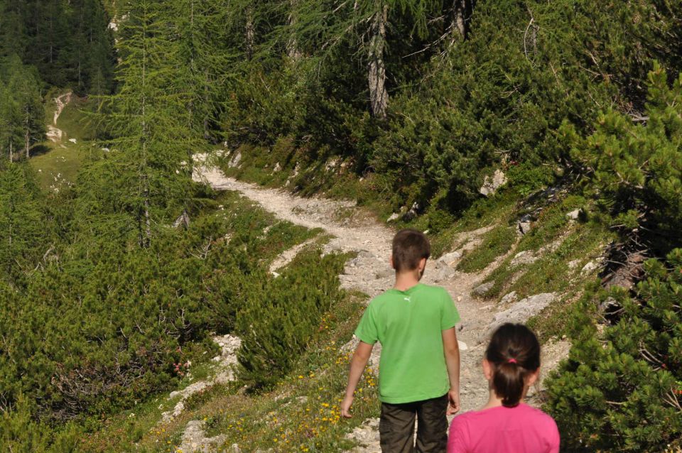 Blejska koča, proti Viševniku 21.7.2013 - foto povečava