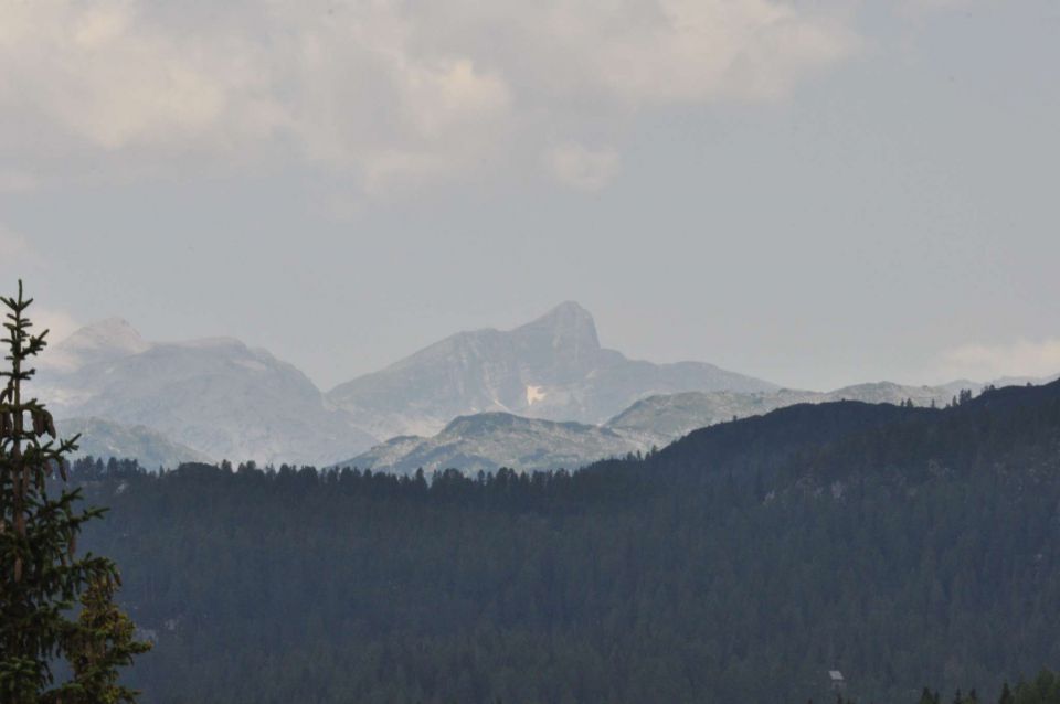 S planine Blato na Krstenico 22.7.2013 - foto povečava