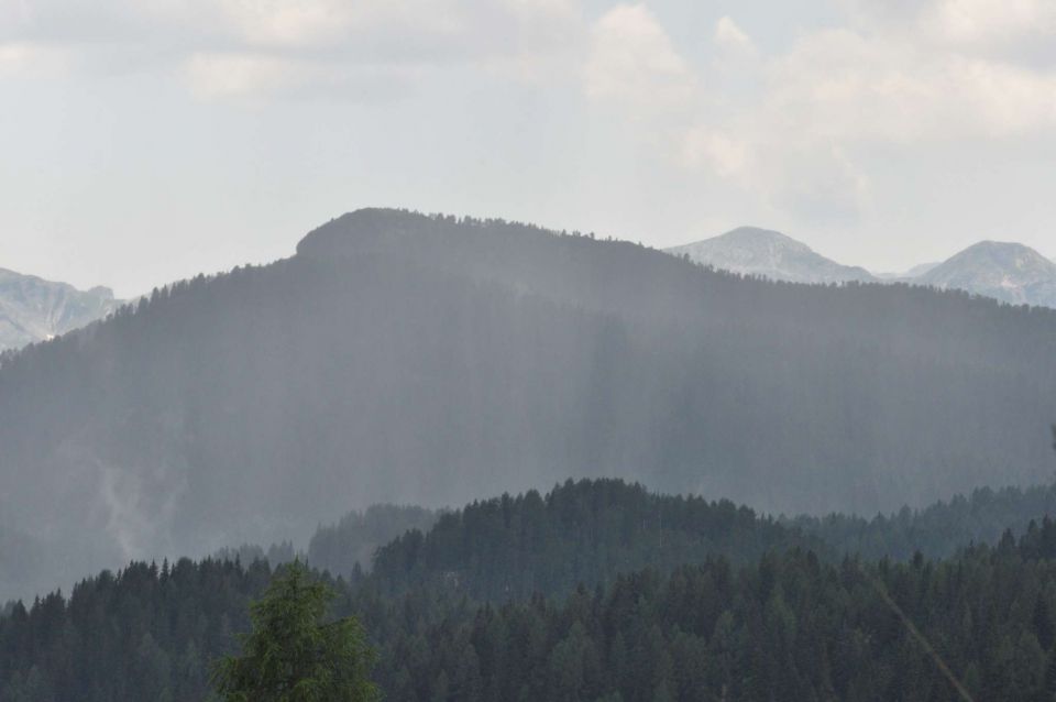 S planine Blato na Krstenico 22.7.2013 - foto povečava