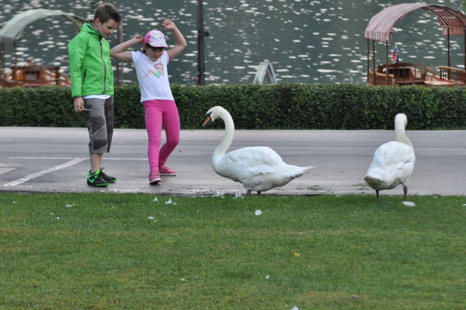 Bled, Bohinj zvečer 22.7.2013 - foto povečava