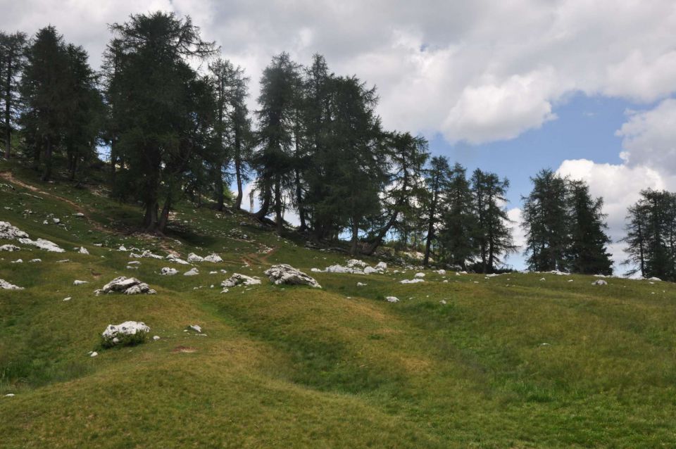 Slemenova špica 25.7.2013 - foto povečava