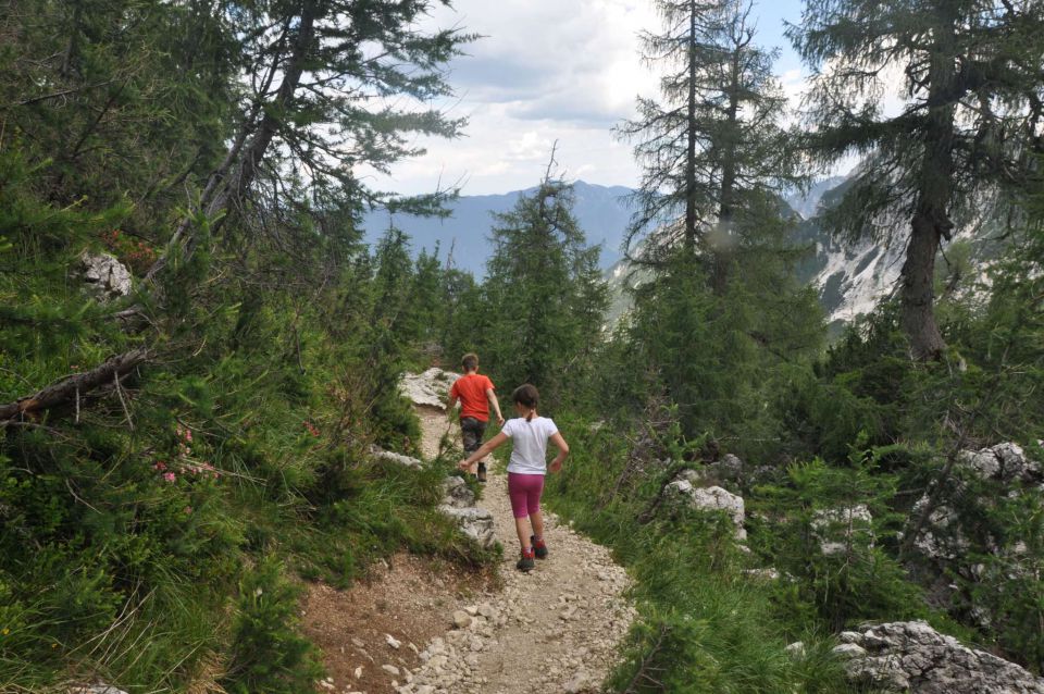 Slemenova špica 25.7.2013 - foto povečava