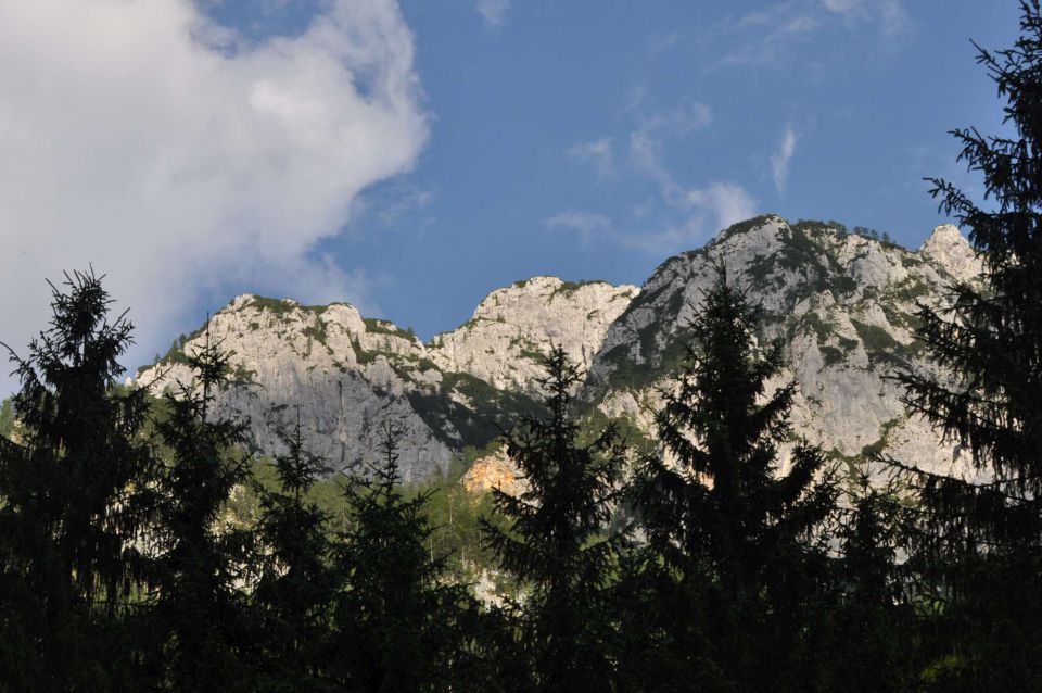 Kranjska gora, dolina Krme 25.7.2013 - foto povečava