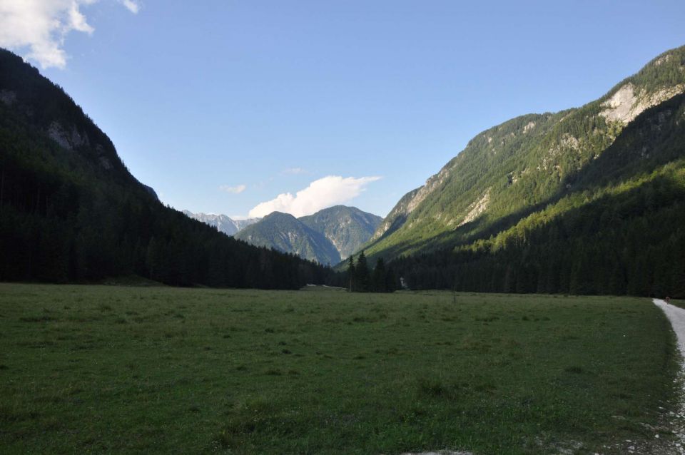 Kranjska gora, dolina Krme 25.7.2013 - foto povečava