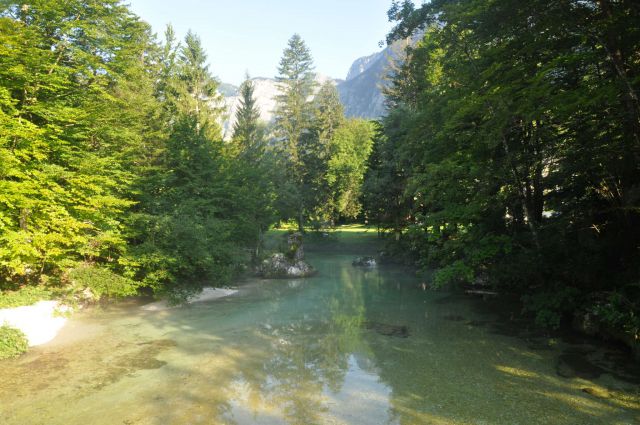 Jutro v Bohinju 27.7.2013 - foto