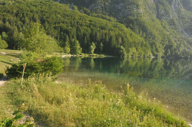 Jutro v Bohinju 27.7.2013 - foto