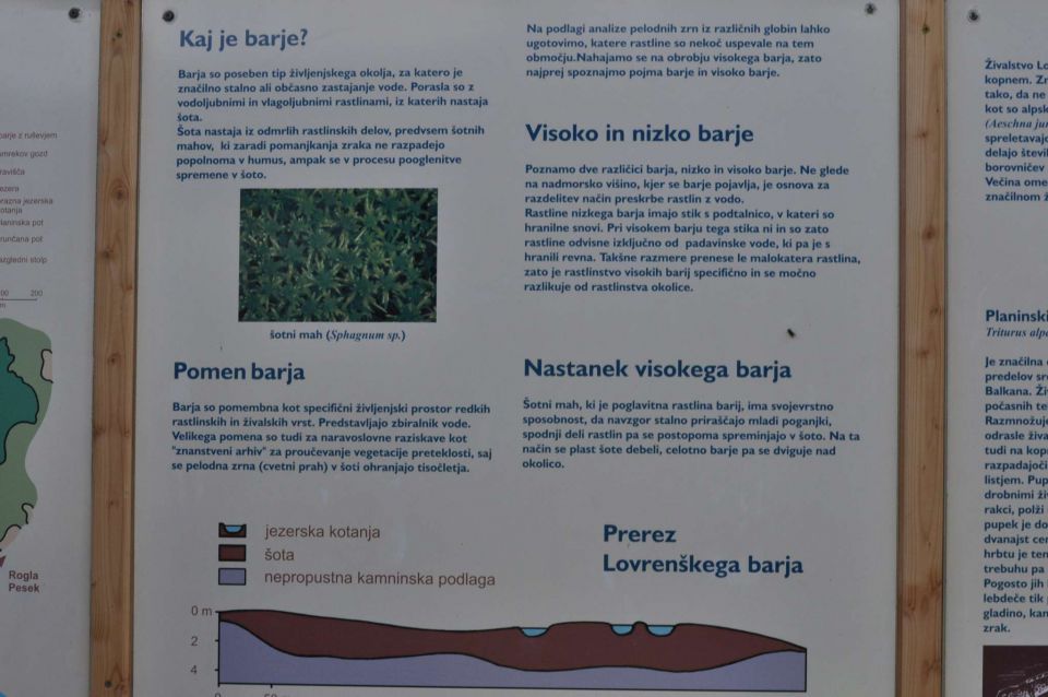 Lovrenška jezera, Pesek, Rogla 29.7.2013 - foto povečava