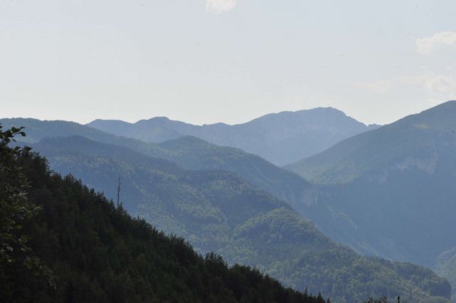 Lepenatka 3.8.2013 - foto