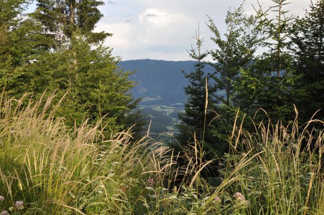 Lepenatka 3.8.2013 - foto