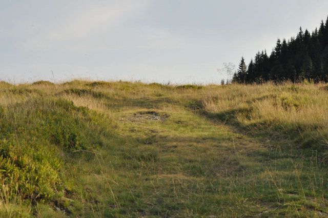 Lepenatka 3.8.2013 - foto