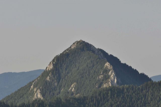 Lepenatka 3.8.2013 - foto