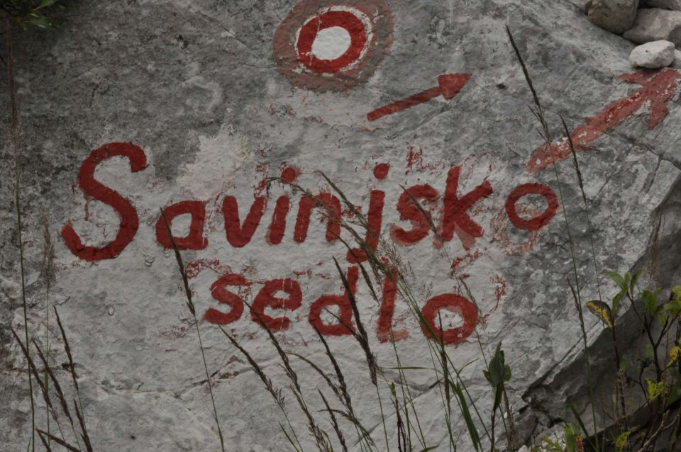 Savinjsko sedlo iz Logarske 10.8.2013 - foto povečava