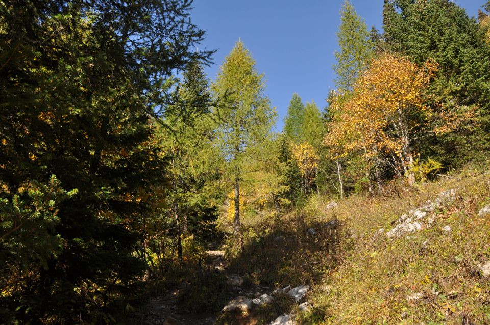 Pokljuka, Viševnik, Bl. koča I. 13.10.2013 - foto povečava