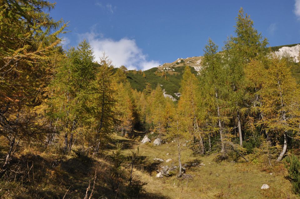 Pokljuka, Viševnik, Bl. koča I. 13.10.2013 - foto povečava