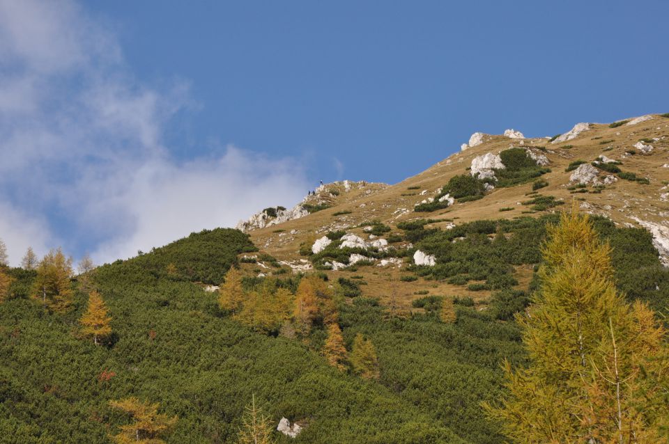 Pokljuka, Viševnik, Bl. koča I. 13.10.2013 - foto povečava