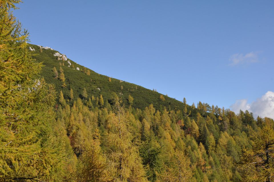 Pokljuka, Viševnik, Bl. koča I. 13.10.2013 - foto povečava