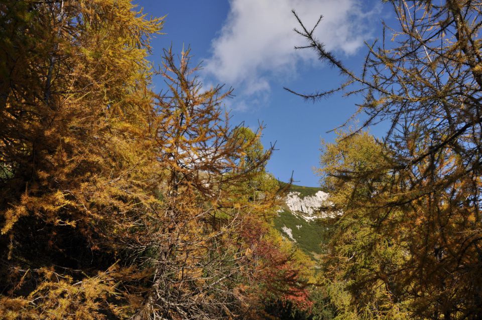 Pokljuka, Viševnik, Bl. koča I. 13.10.2013 - foto povečava