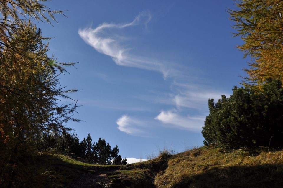 Pokljuka, Viševnik, Bl. koča I. 13.10.2013 - foto povečava